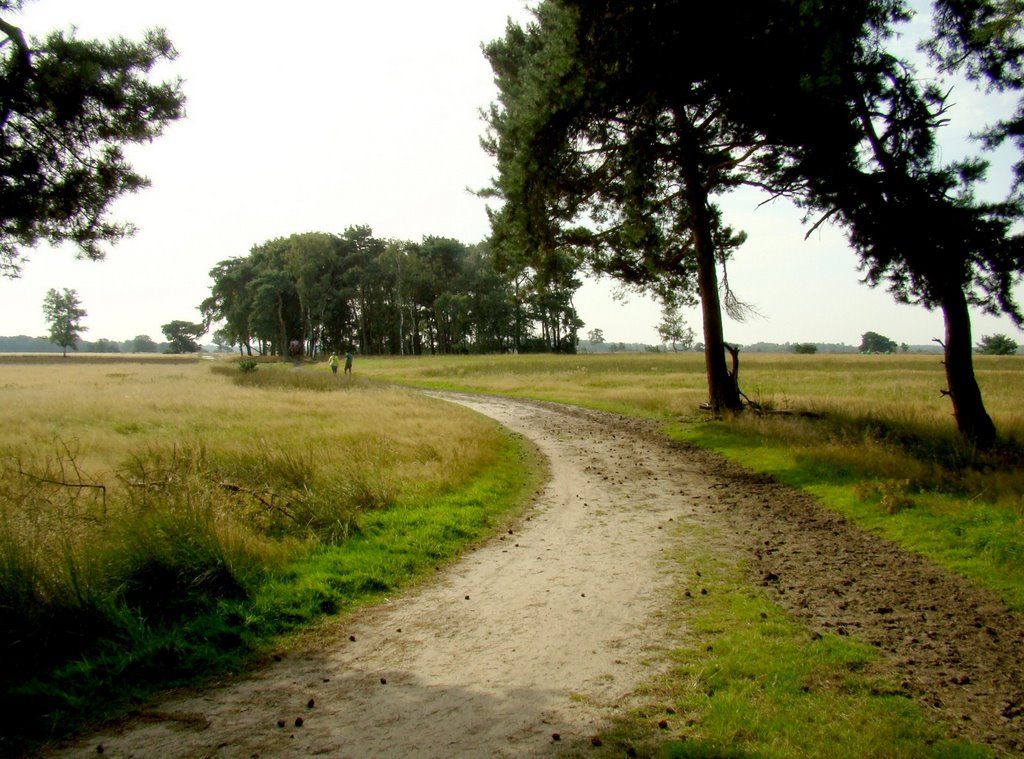 Strabrechtse Heide, Mierlo by uaf