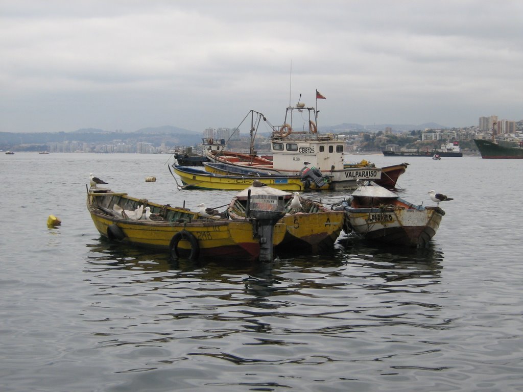 ▶ Small boat in Valparaíso ® by ►DisfrutaChile ®