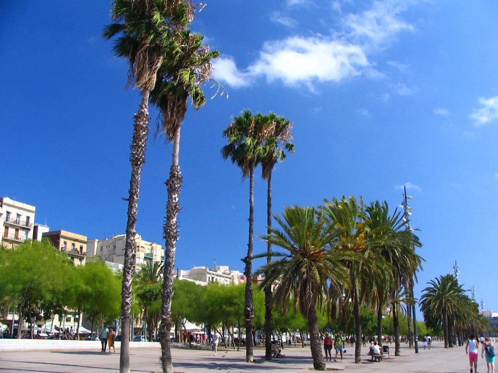 Moll de la Barceloneta by fajna_asia