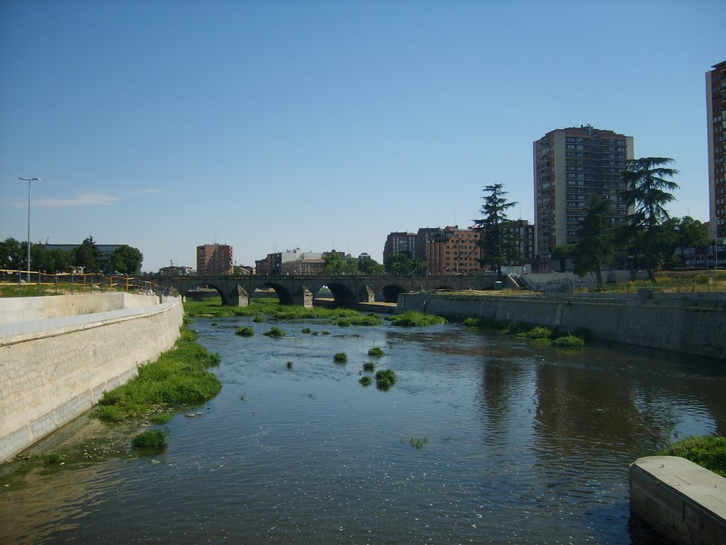 Manzanares river and the Puente de Segovia bridge by Jaya Mee