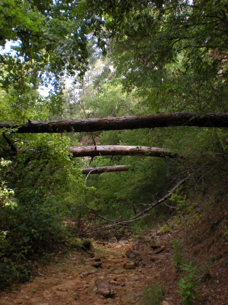 Dry creek below cliffs by frnkly