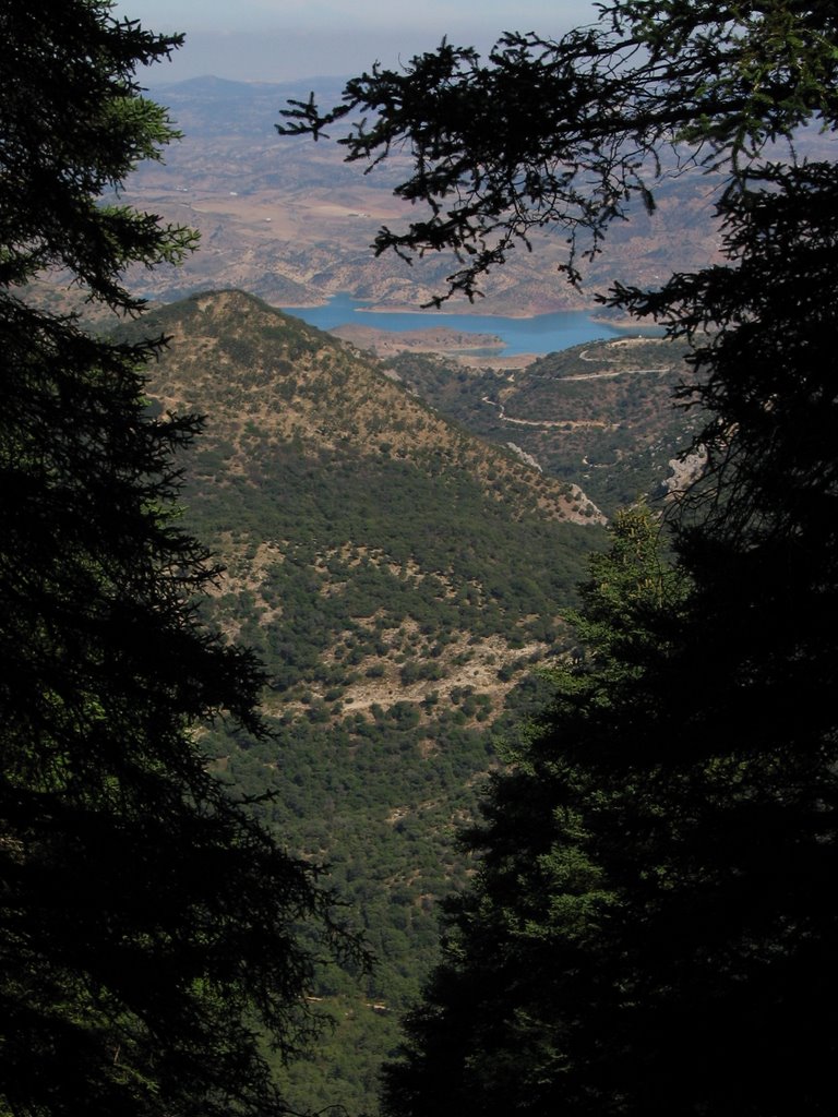 Camino Pinsapar by Leo Forja