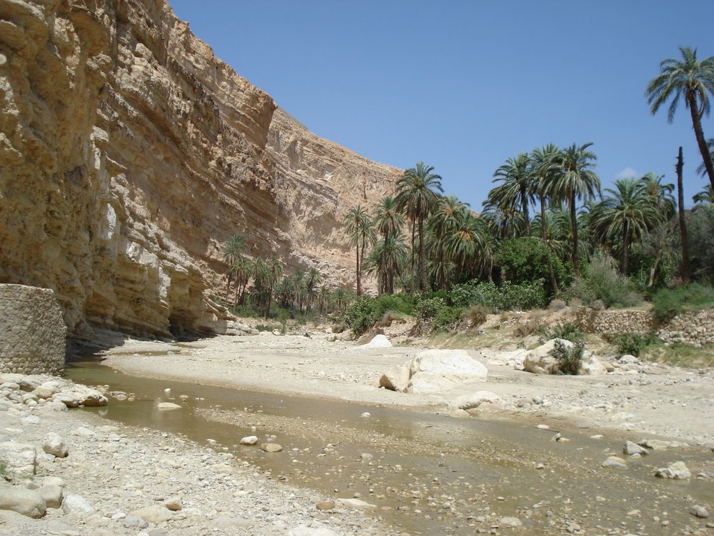 Ghassira, Algeria by belkaccem gaga