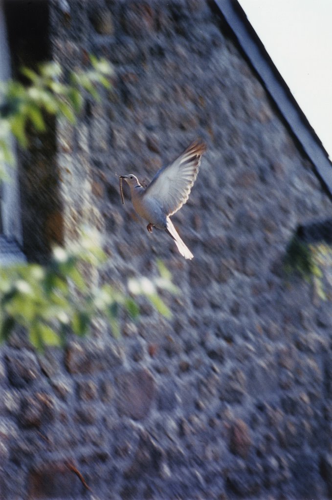 Mont Saint Michel, 2, Bretagne august 2001 by Marco Ferrari