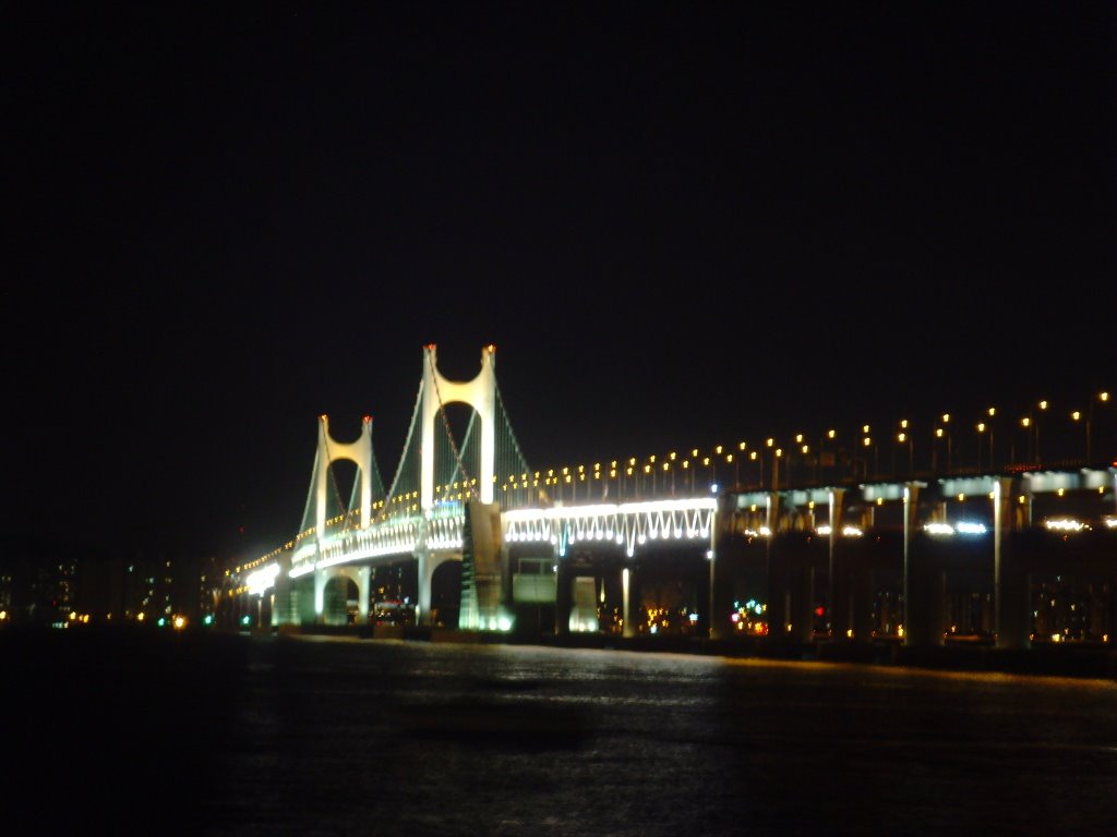 Gwanggalli Bridge @ night by vinodok