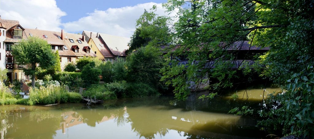 ♣ die Pegnitz am Wenzelschloß by Rudolf H.