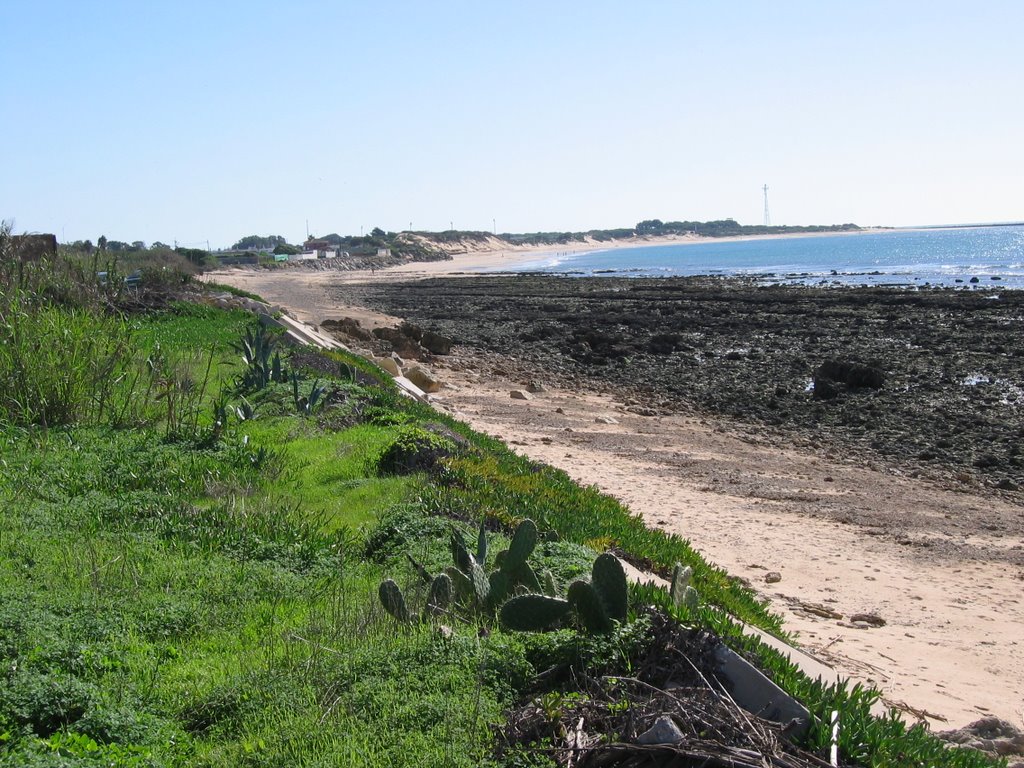 Marea Baja - Low Tide by Leo Forja