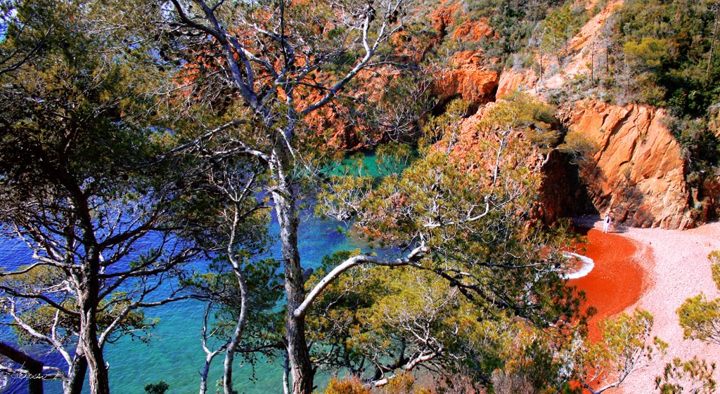 ANTHEOR. pointe du petit Caneiret. VAR. FRANCE. by BORDEAU Alain.(NO VI…