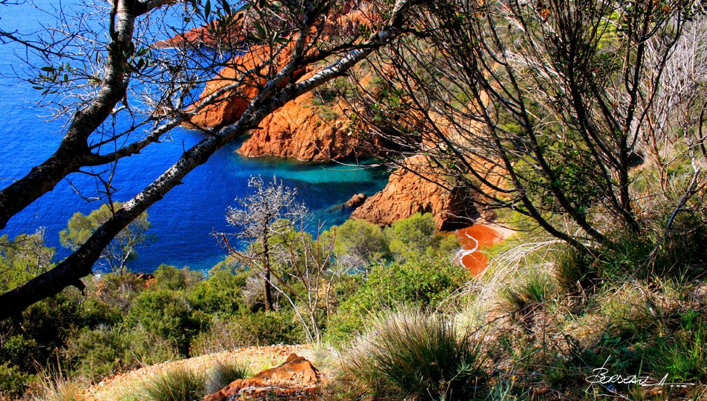 ANTHEOR. pointe du petit Caneiret. VAR. FRANCE. by BORDEAU Alain.(NO VI…