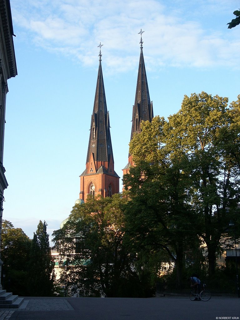 Uppsala Cathedral by Norbert Kruk