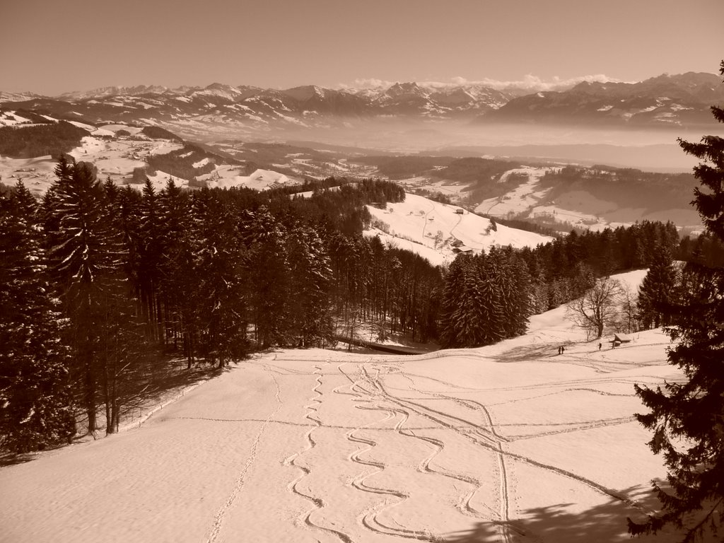 Auf dem Bachtel, Zuercher Oberland, ZH, Switzerland by Auggie