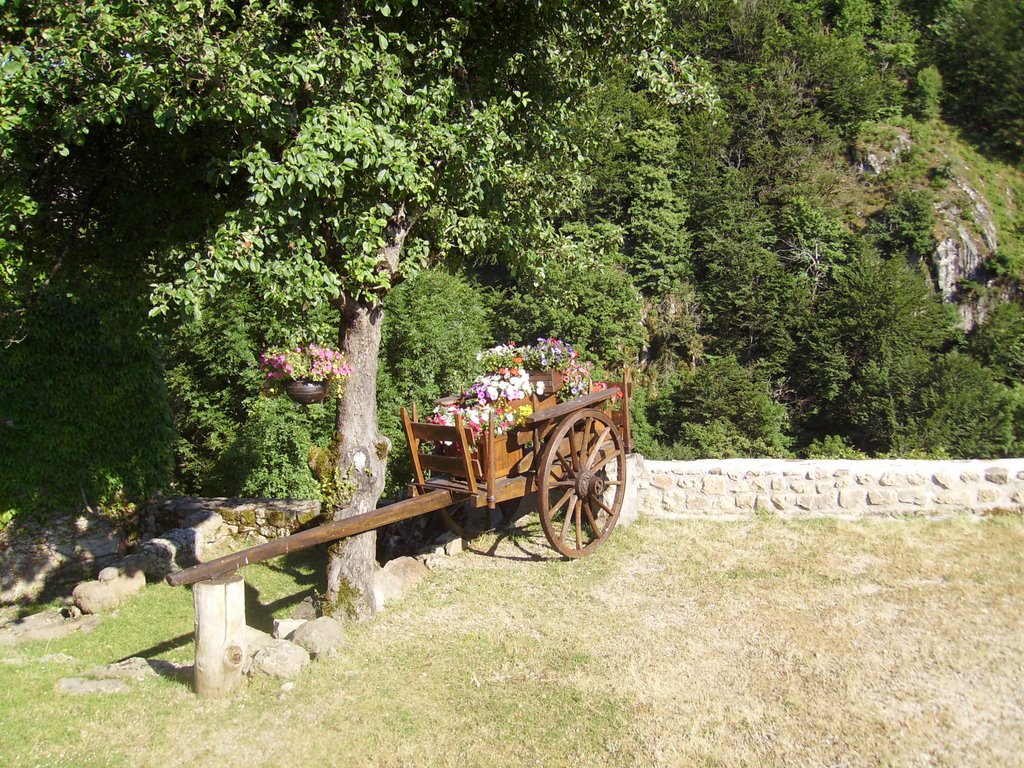 Charette fleurie by s.vaures