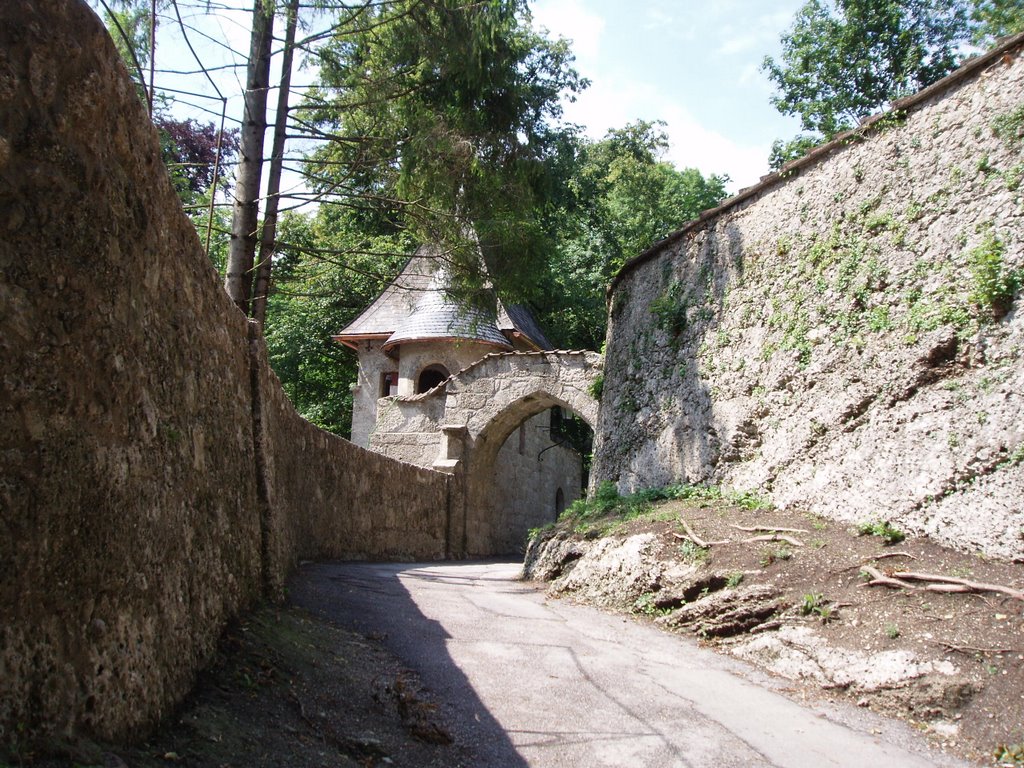 Road near the Castle by afraser30