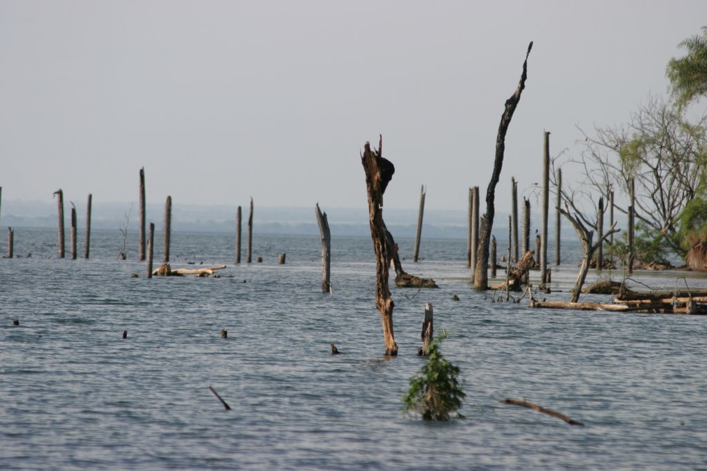 Ayrton Pesca - Rio Paraná - Represa Sérgio Motta by aptv2