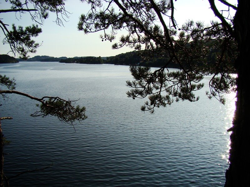 Gamlehaugen, Bergen, Norway by J. Miguel Roncero