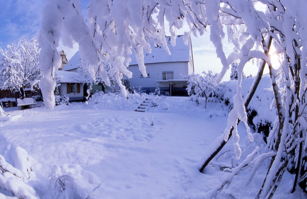 Schnee 2 by Mario Escherle, der Fotograf aus Kaiserslaute