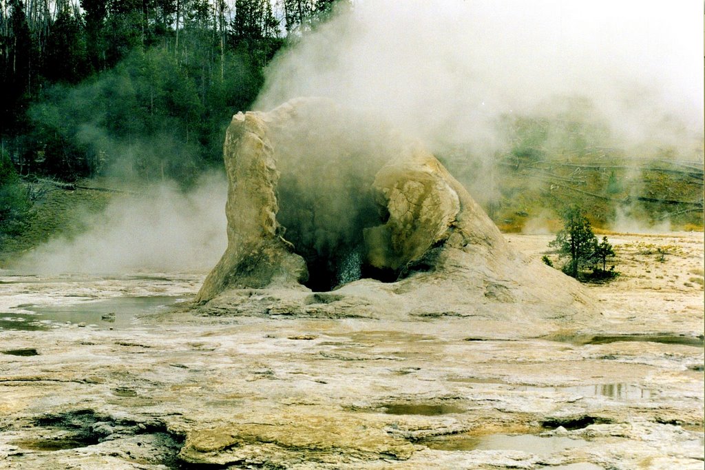 Giant Geyser, Upper Geyser Basin by little penguin