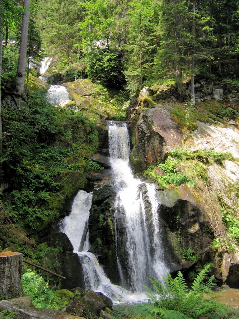 Triberg waterfalls, Black Forest by Jean LECLERCQ