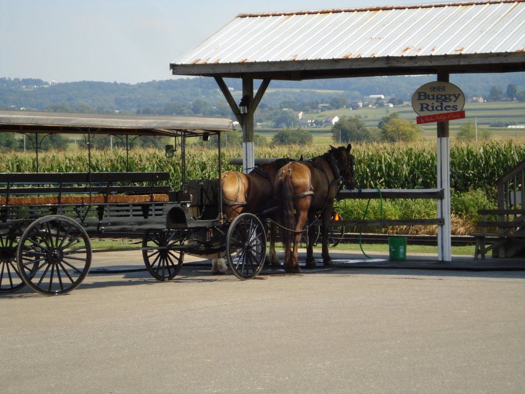 Buggy Rides at The Red Caboose Motel by angbroyles