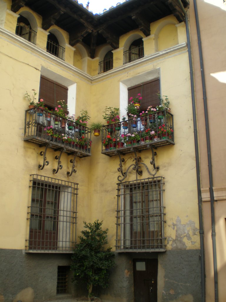 Balcones y flores by jalons