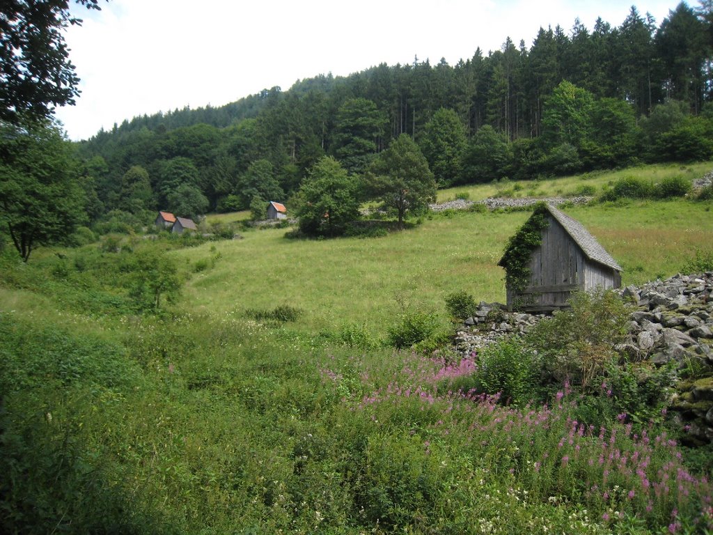 Schwarzwald by blauhelms