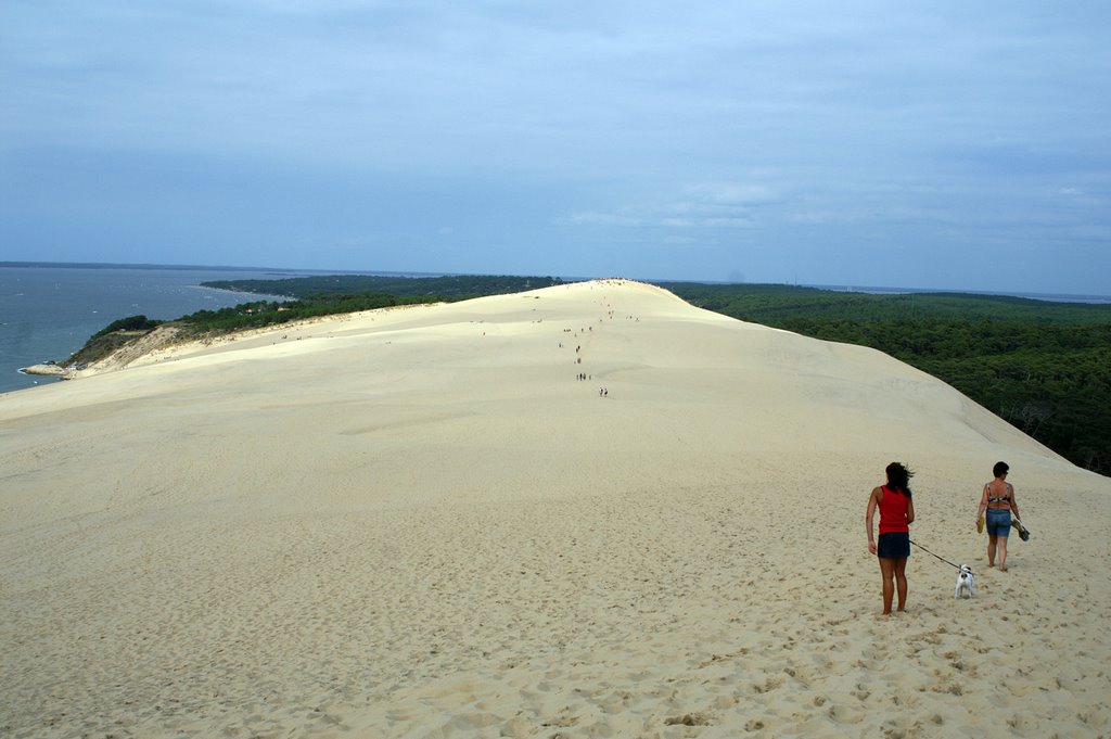 Dune de Pyla by Janusz Bablok