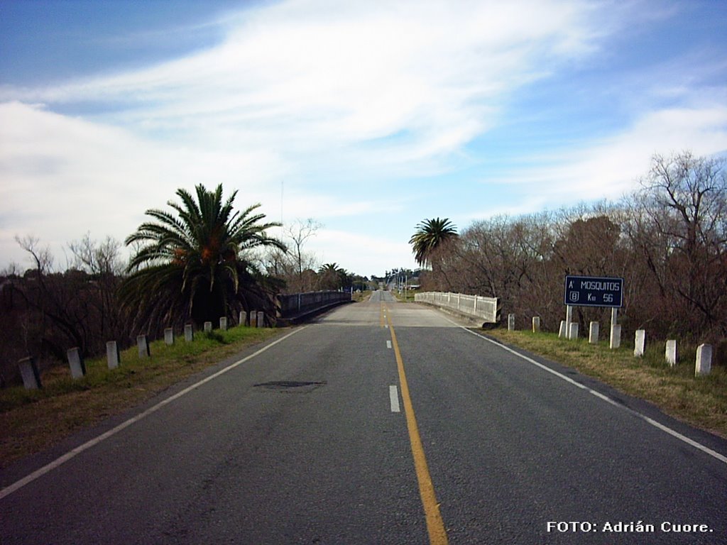 Puente de la Ruta 8 by Cuore-Laborde