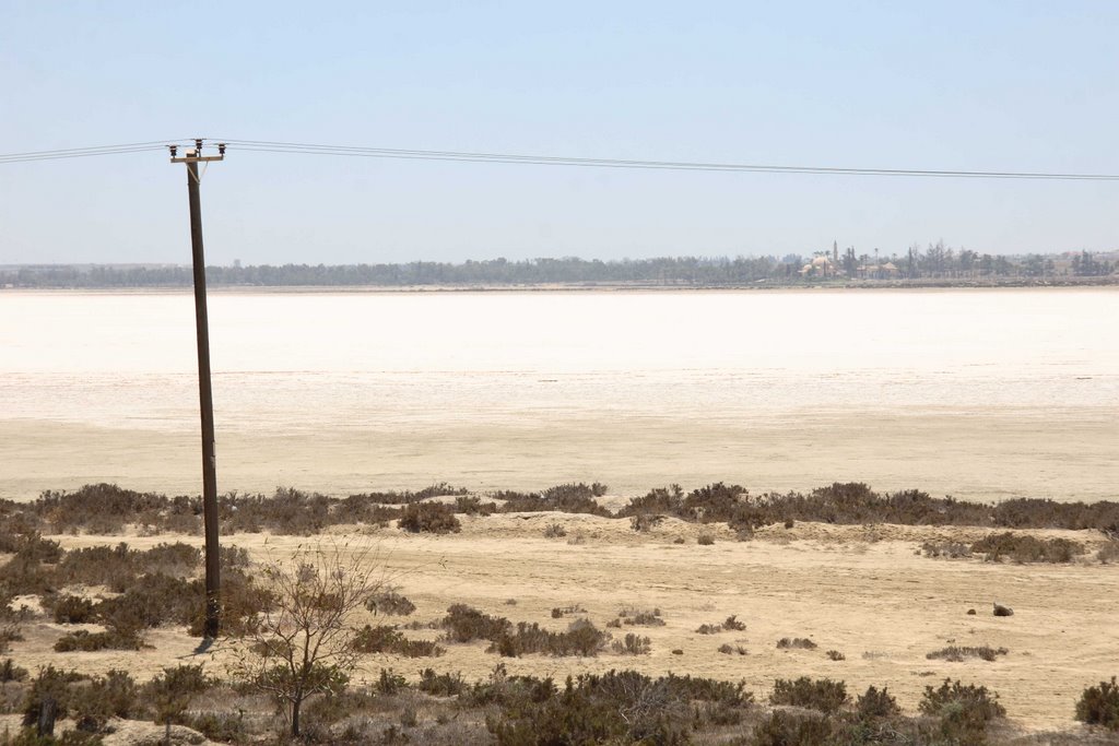 Hala Sultan Tekke looming in the horizon by Kimmo Lahti