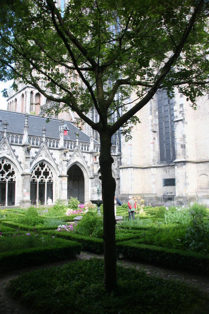 Tree at the convential garden in summertime, Utrecht by Carl030nl