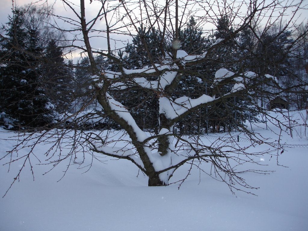 Vinter på Galleberg by KjeeK