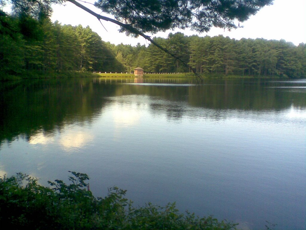 Atkins Reservoir. Calm forbidden water!! by George in USA