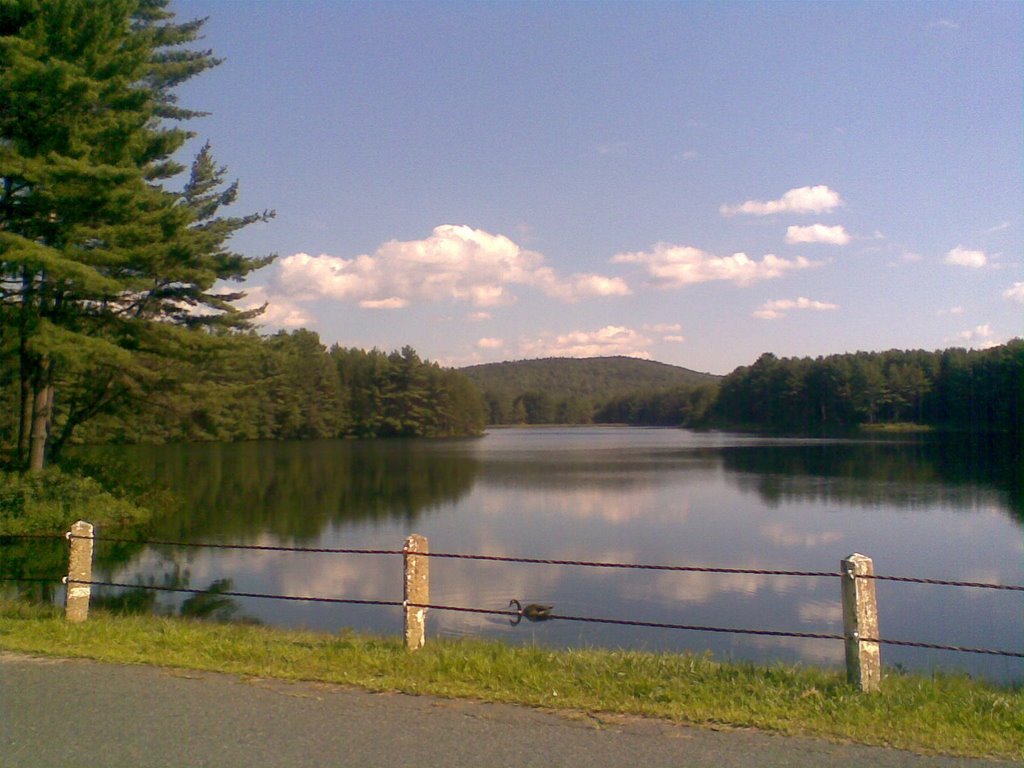 Atkins Reservoir. The lonely goose OR may be the loose-goose that the cafe in Downtown Amherst talk about :)) by George in USA