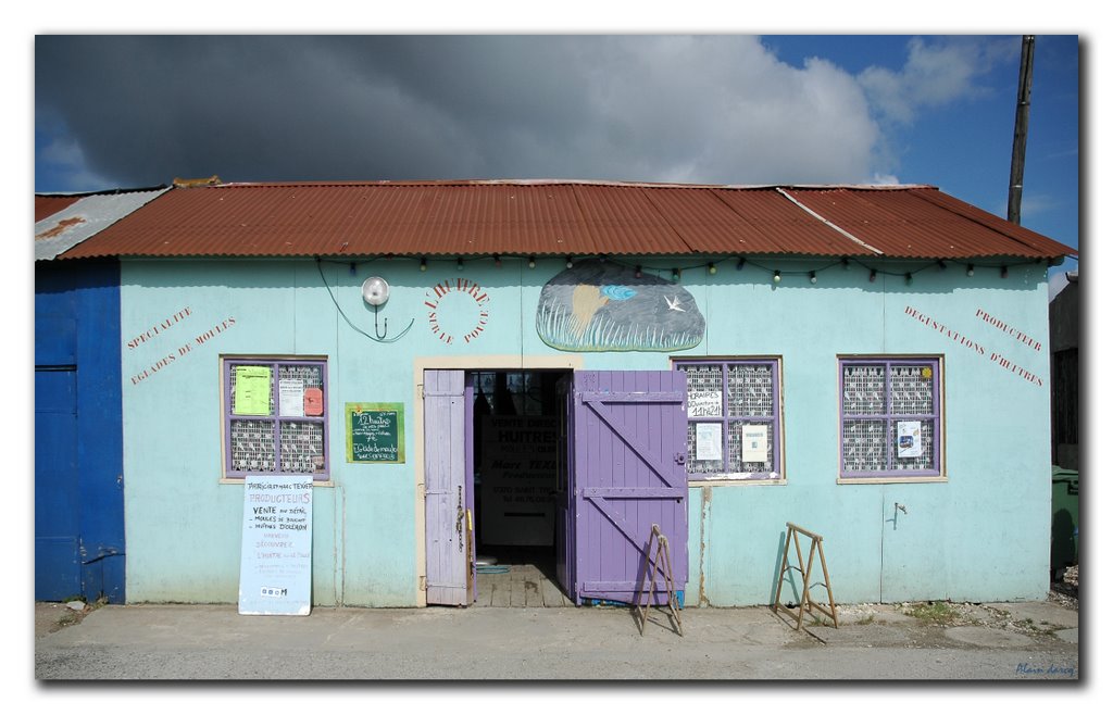 Cabane typique. A.D by alain darcq