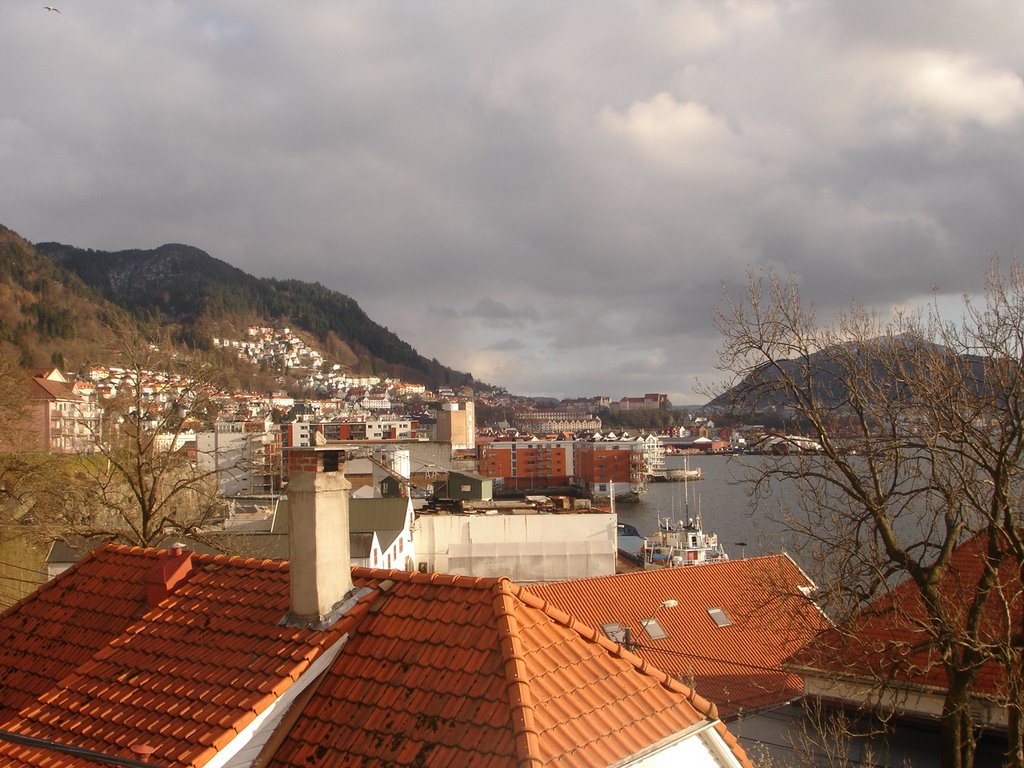 View over Bergen by KjeeK