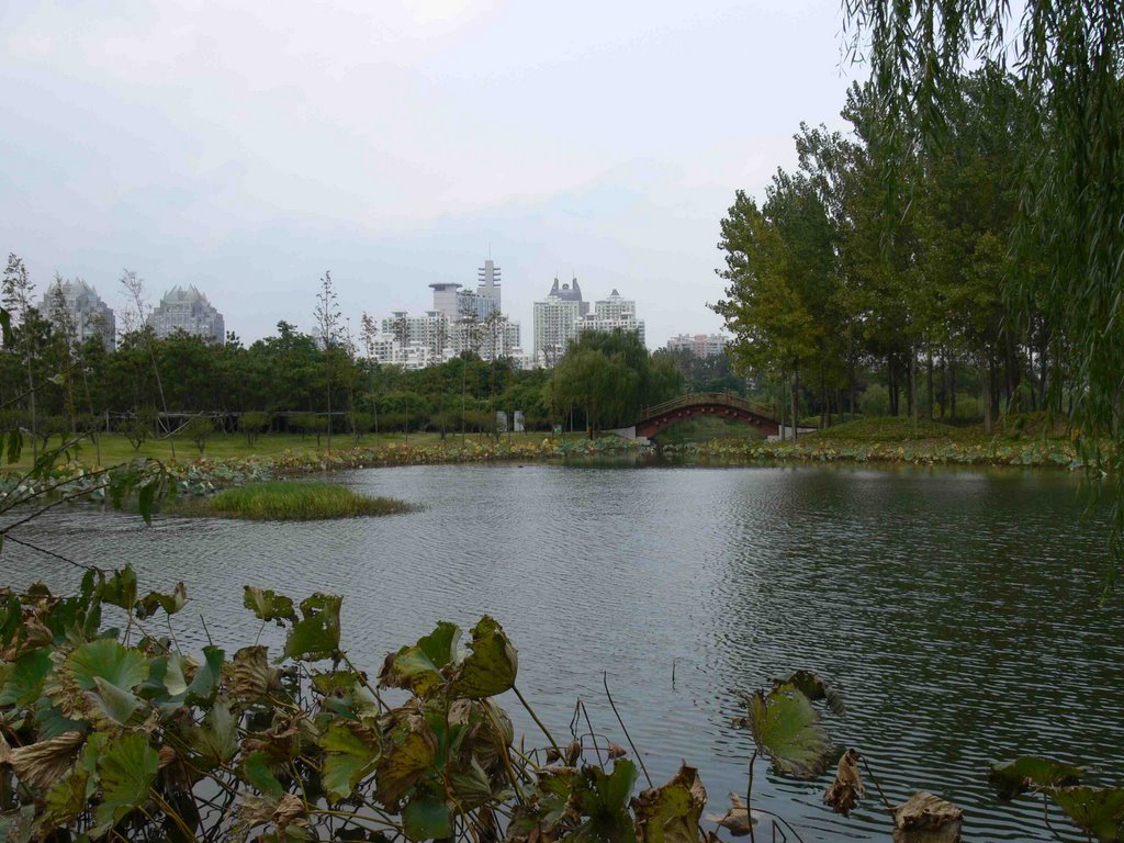 Shanghai-Century Park by stevox73