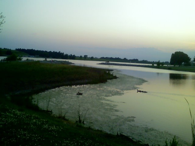 07/04/08 - Ducks at Holmes Lake by dechtu