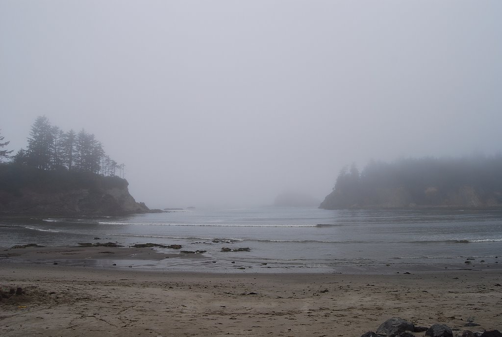 Beach in Oregon by Shane Newell