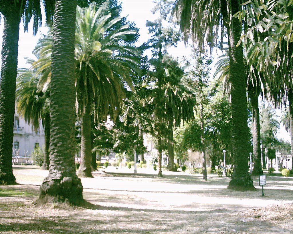 Plaza España by cwally78