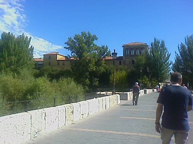 León - Puente de San Marcos by fjuarez