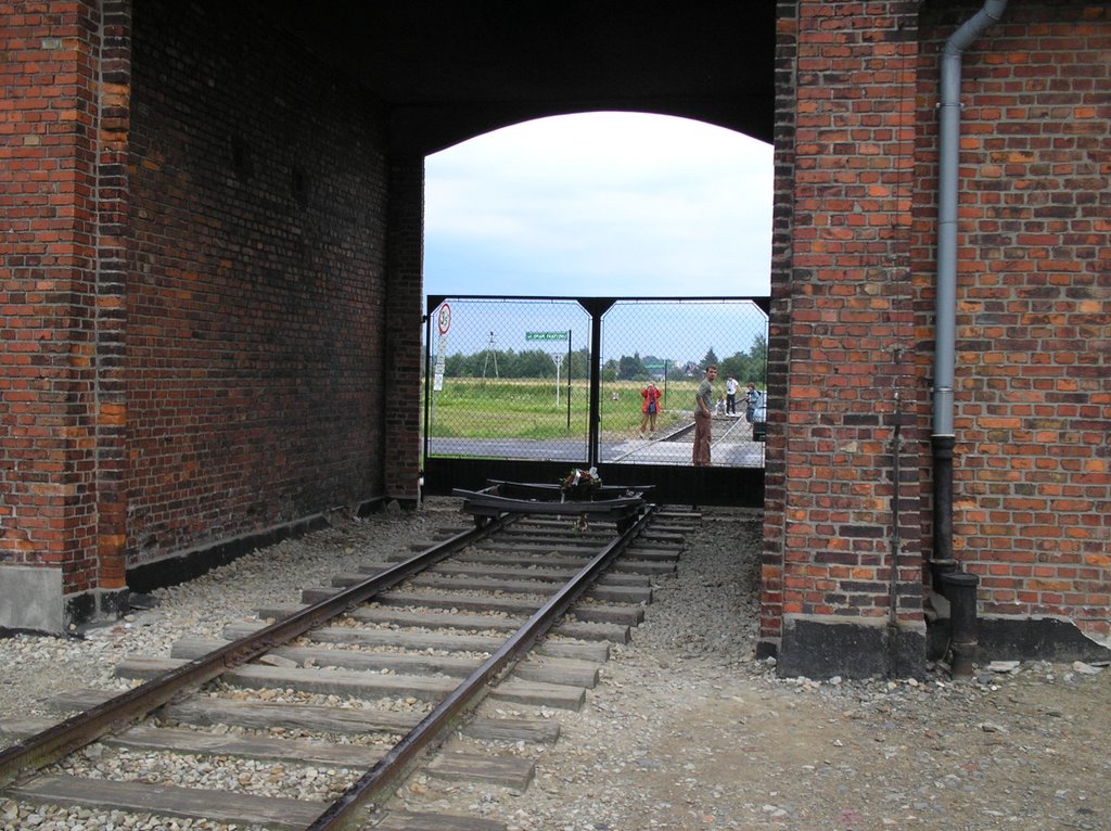 Auschwitz-Birkenau -3 by romaus