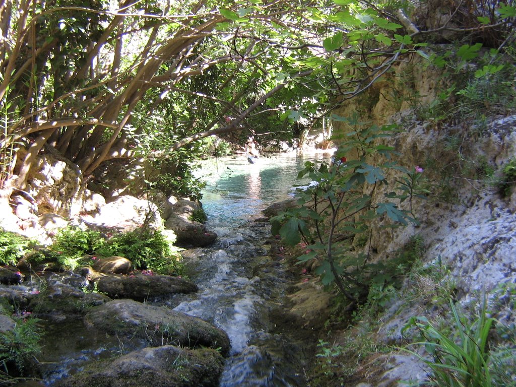 Pantalica,torrente calcinara, affluente dell'anapo by follettoibleo