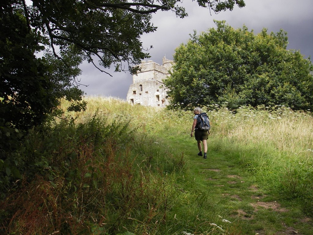 Donnington Castle by scouter_rob