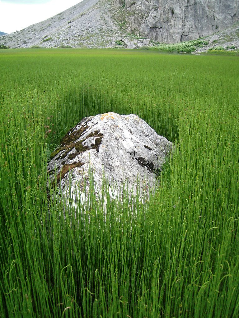 Roca en la laguna de las Verdes by SantiSanti