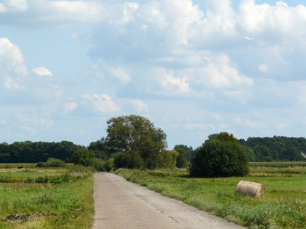 Truper Bläncken by Annette Luehsen