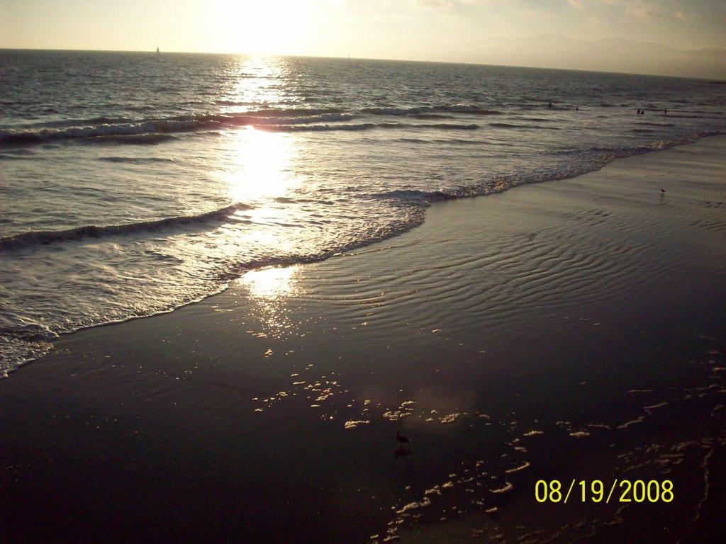 VENICE BEACH, CALIFORNIA by Gregory K