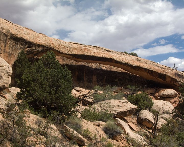 Barrette Arch by LSessions