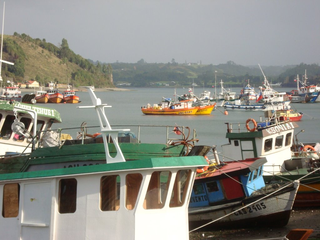 colores de Dalcahue by georgina guichaquelen