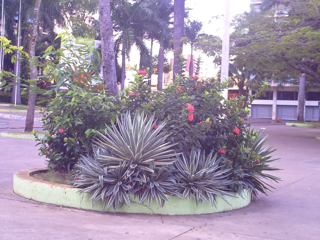 Praça no Centro de Cuiabá. by cicloguia