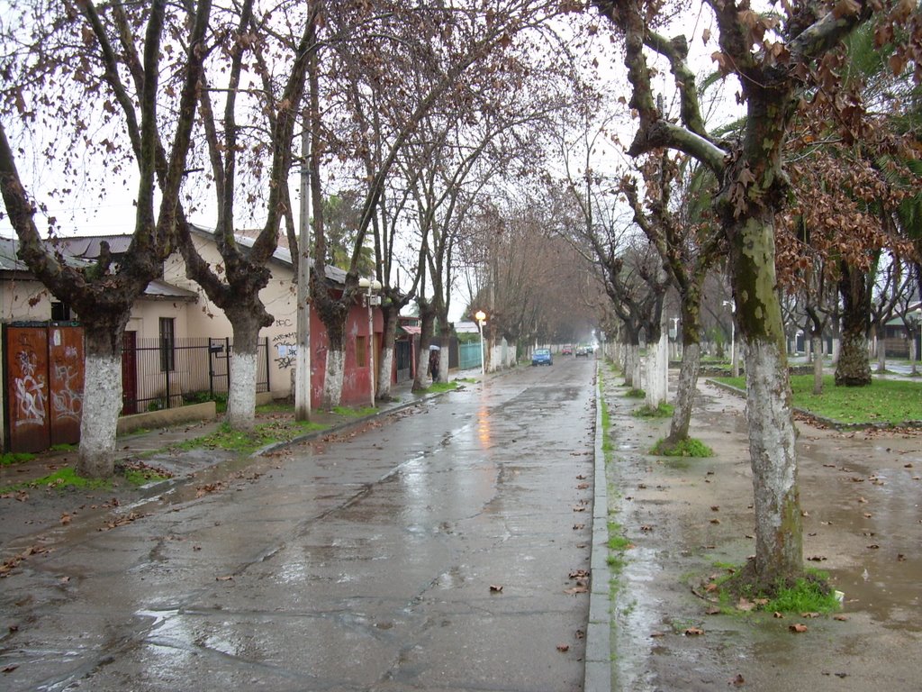 Av los carrera agosto 2008 by sergio infante huert…