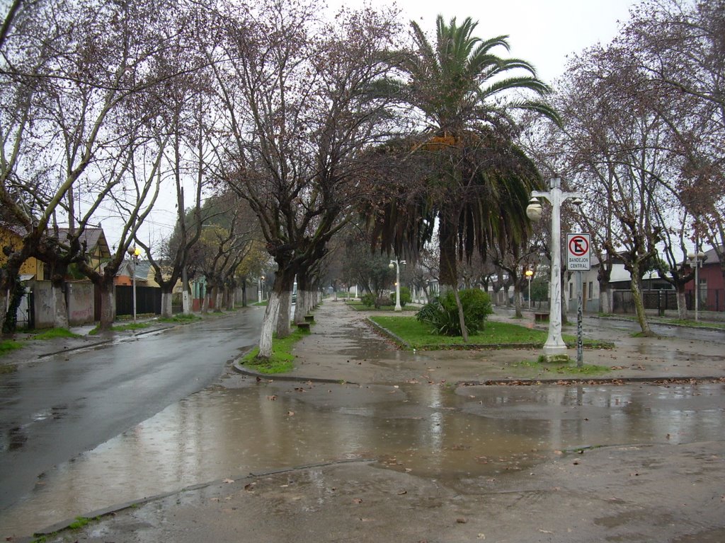 Av los carrera invierno en el monte by sergio infante huert…